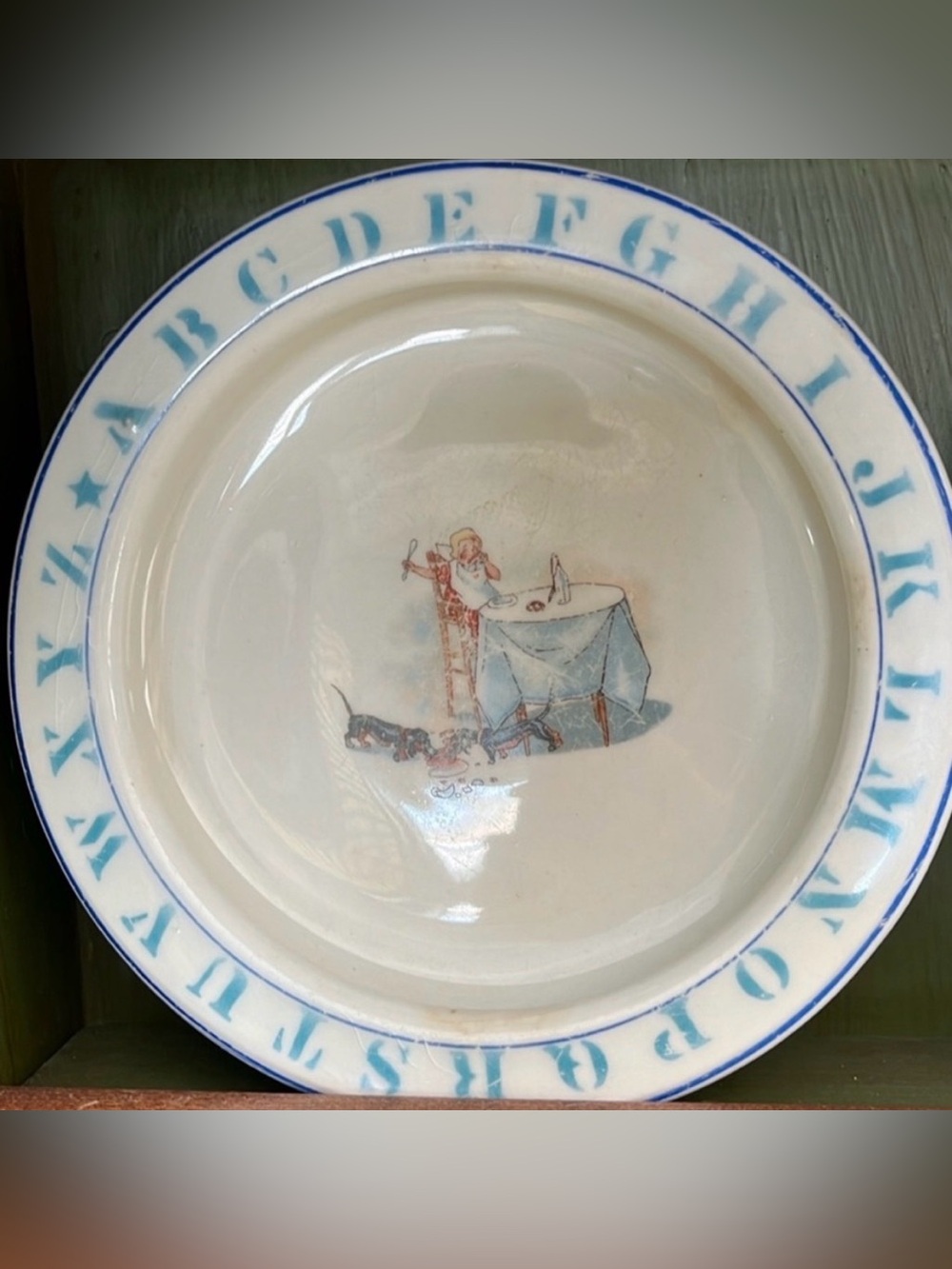 Antique D.E. McNicol East Liverpool, Ohio Mother Hubbard Nursery bowl plate